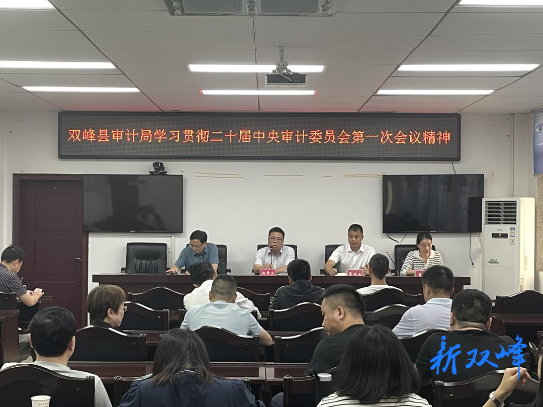 双峰县审计局学习贯彻二十届中央审计委员会第一次会议精神