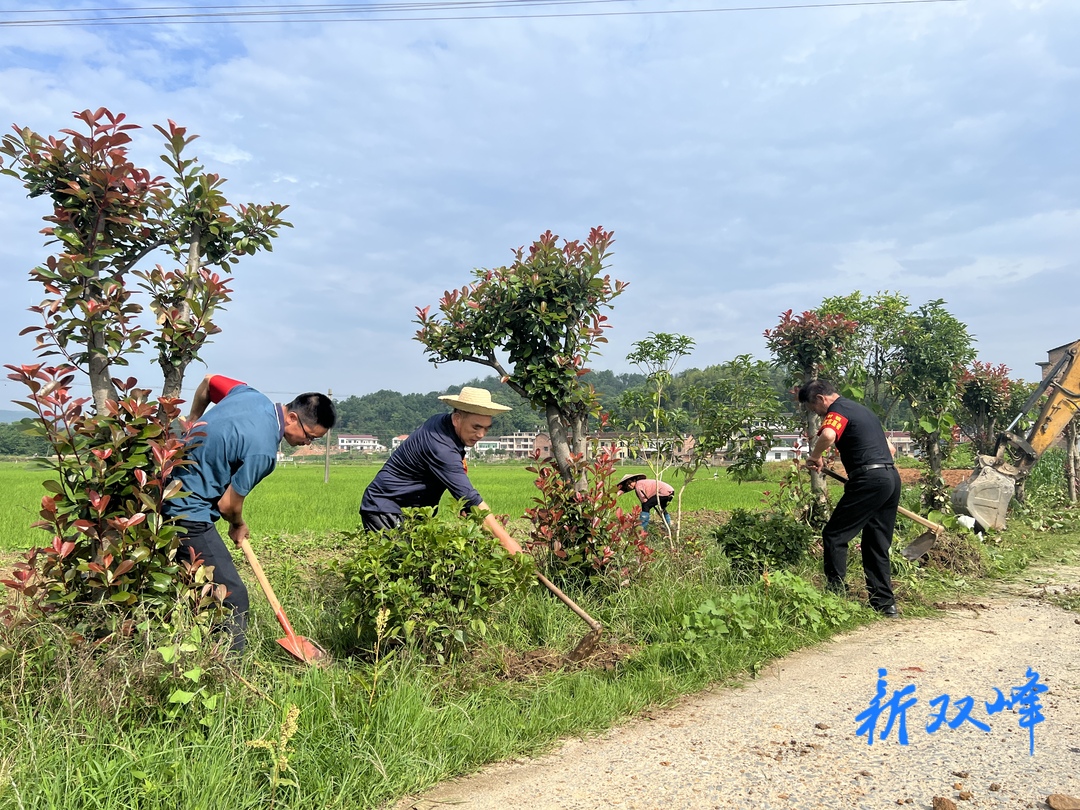荷叶镇：“一月一课一片—实践”党员先行 义务出工见实效