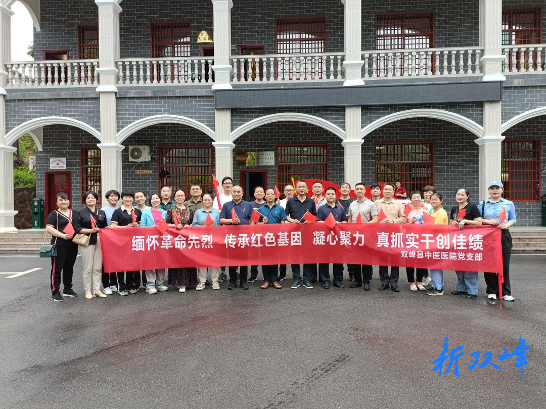 双峰县中医院开展“一月一课一片一实践”主题党日活动