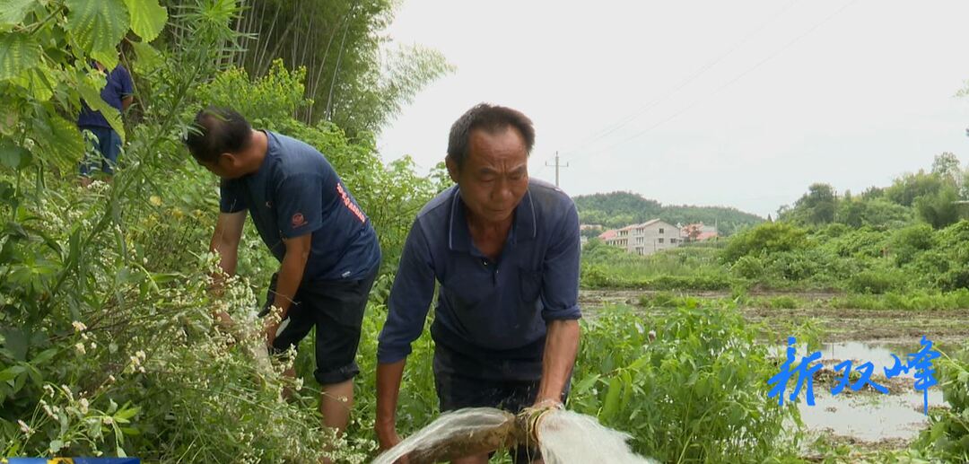 县农业农村局：抓住降雨时机  确保夏粮灌溉