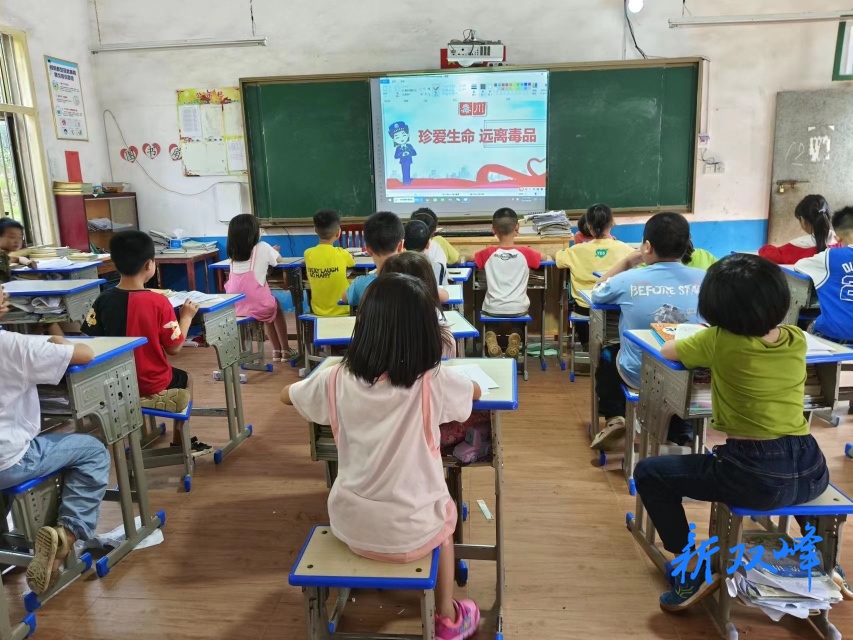 杏子铺镇合塘学校开展6·26国际禁毒日宣传教育活动