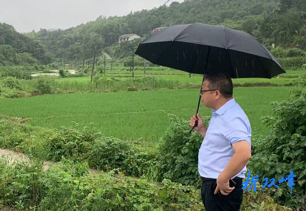 杏子铺镇：干群合力防汛抢险