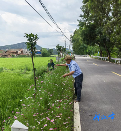 荷叶镇清泉村：环境整治共参与 党员服务践初心