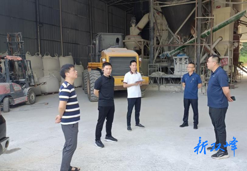 县领导现场督导突出生态环境问题整改
