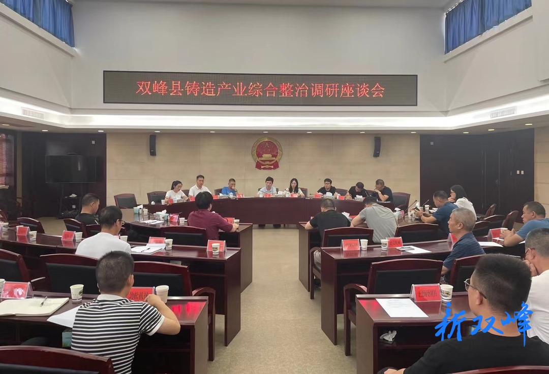 湖南省环境保护科学研究院专家团来双峰调研铸造产业综合整治工作