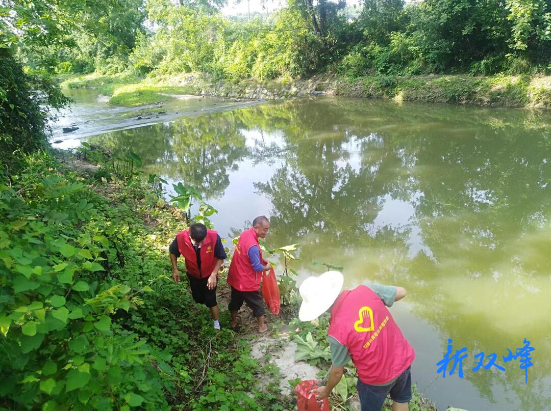 荷叶镇：党建引领河长制 绘就碧水新画卷