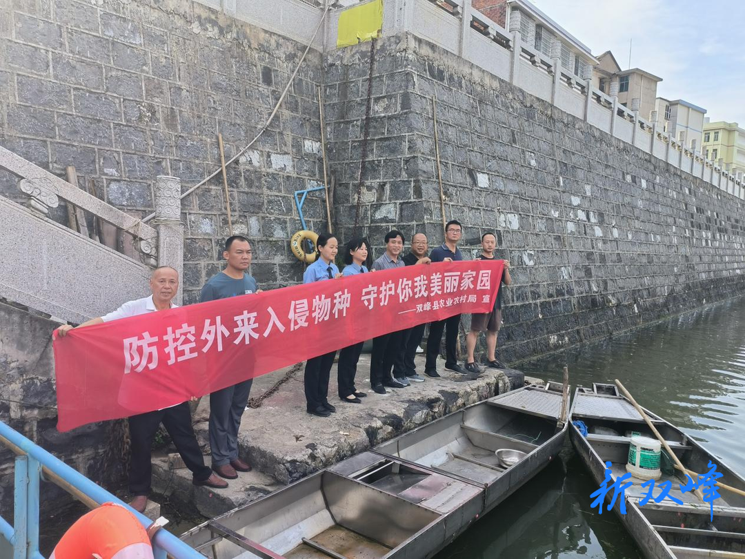 边督边改：双峰县开展福寿螺卵铲除行动