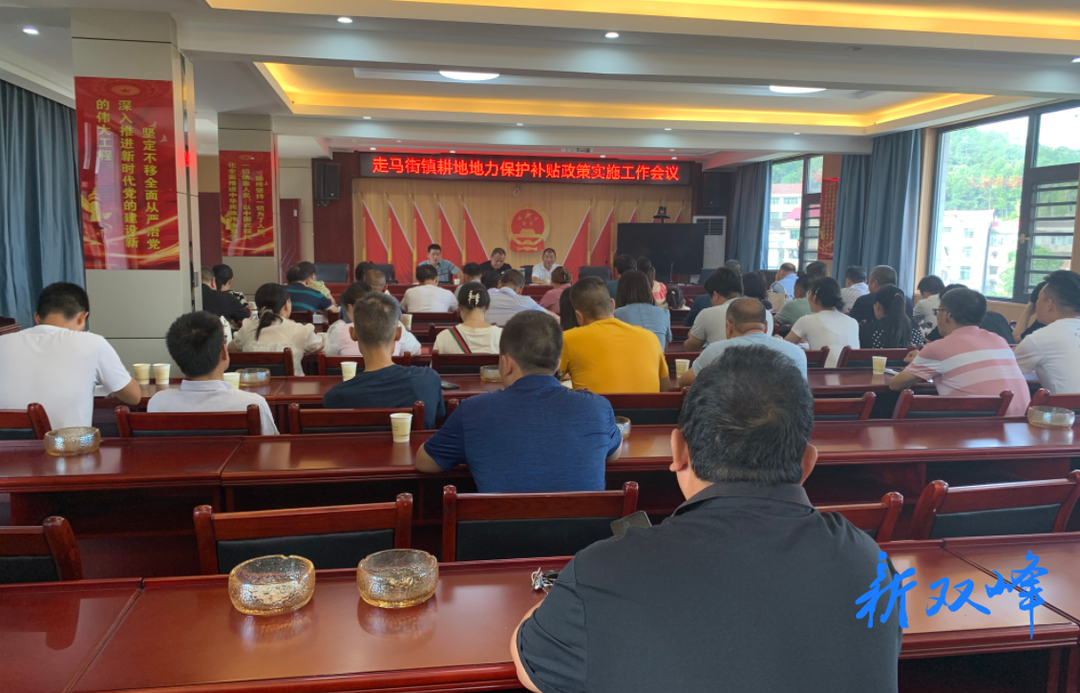 走马街镇积极落实耕地地力保护补贴政策