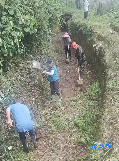 石牛乡：抽水保灌抗长旱