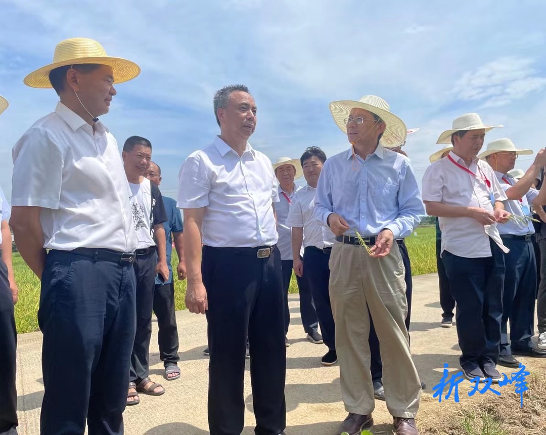 全国水稻病虫害统防统治与绿色防控融合现场会与会代表来双峰观摩