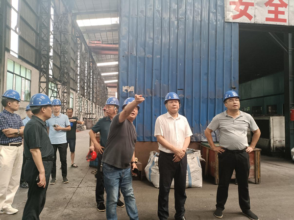 边督边改｜副市长向乾勇赴双峰三塘铺镇督查督办铸造企业突出生态环境问题