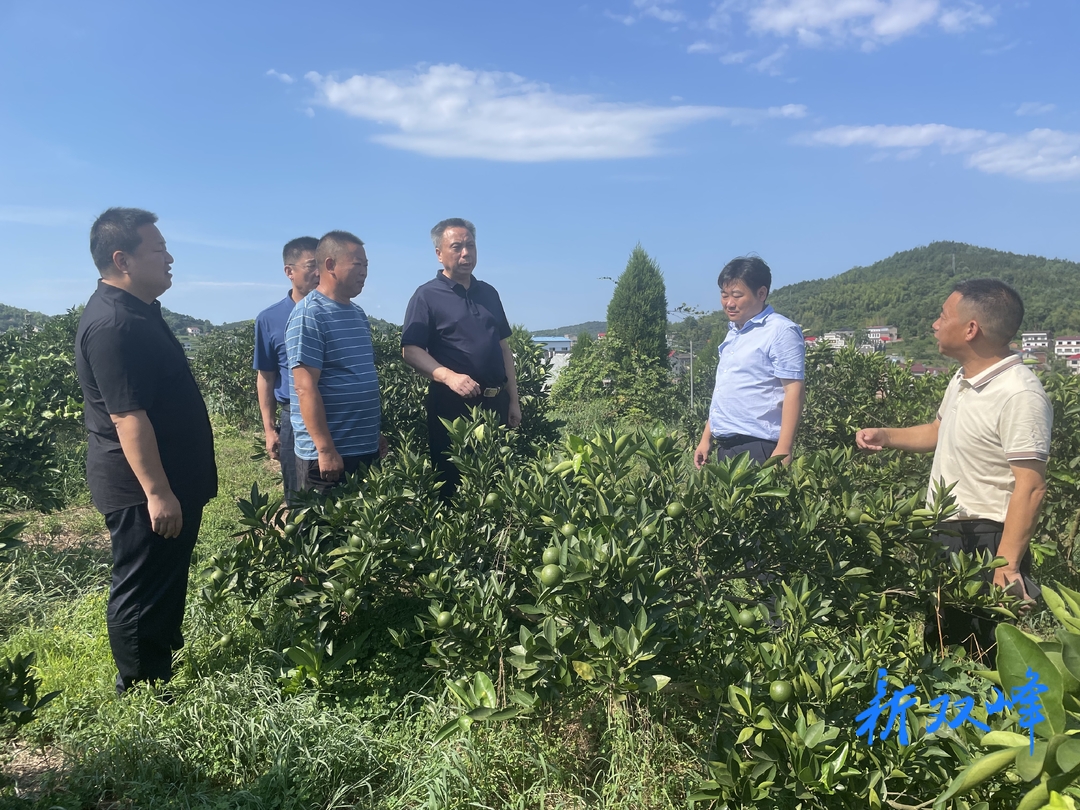 彭石清到乡镇调研重点扶贫产业发展和抗旱保产工作