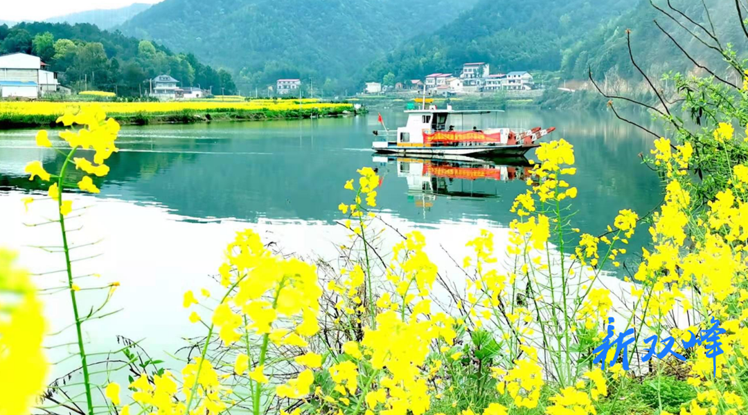 杏子铺镇：穷乡变富镇 乡村振兴谱新篇
