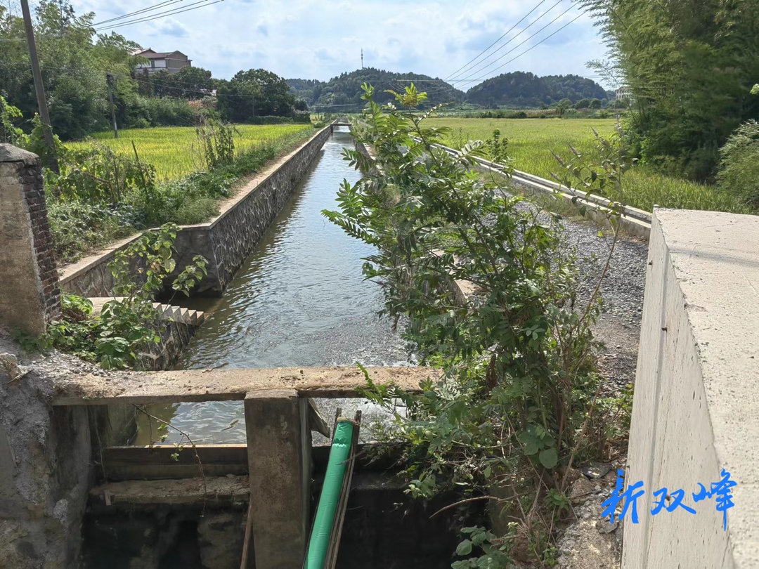 印塘乡：多举措储水保水，确保“双抢”灌溉用水无忧
