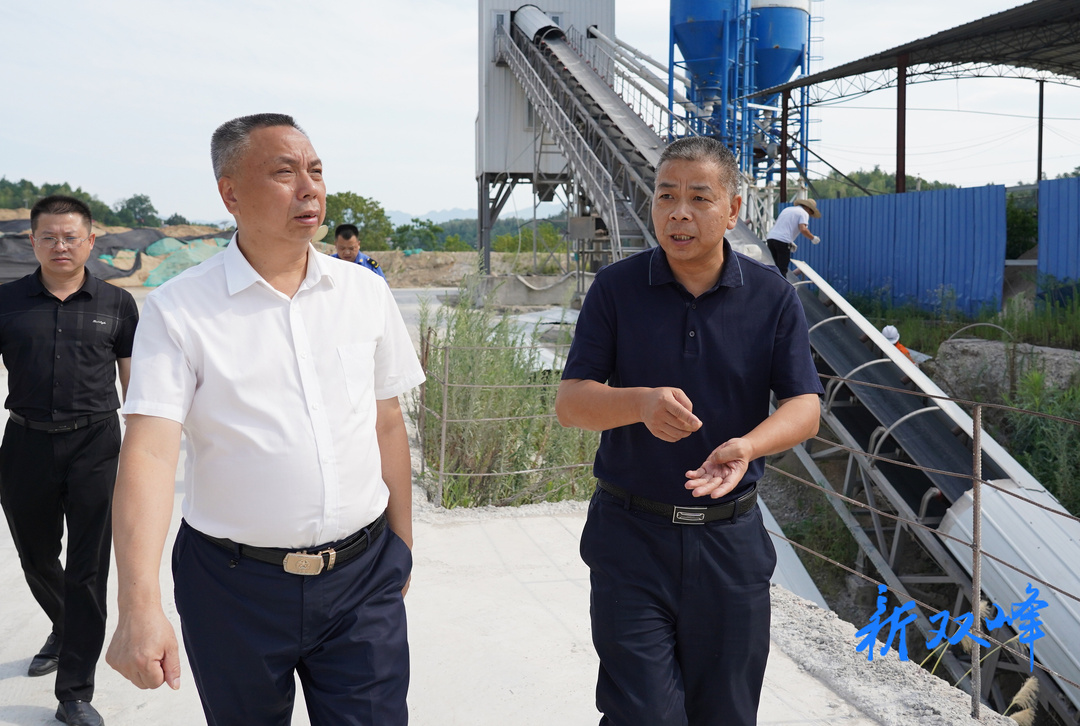 彭石清到荷叶镇督查双峰县新荷环保建材有限责任公司停产整改情况