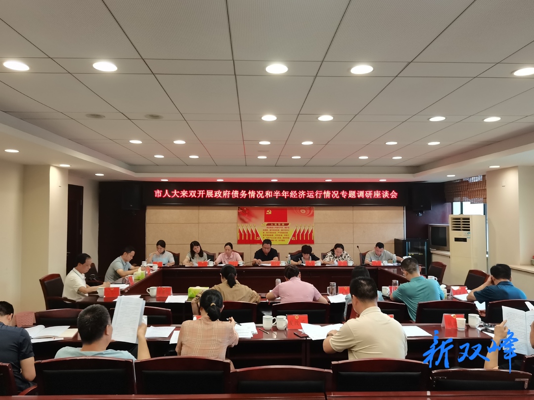李洪文带队来双峰开展政府债务和半年经济运行情况专题调研