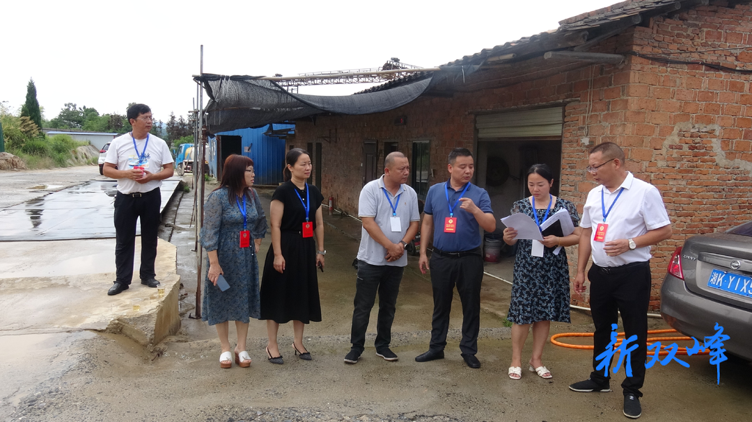 永丰街道开展改善生态环境专项民主监督