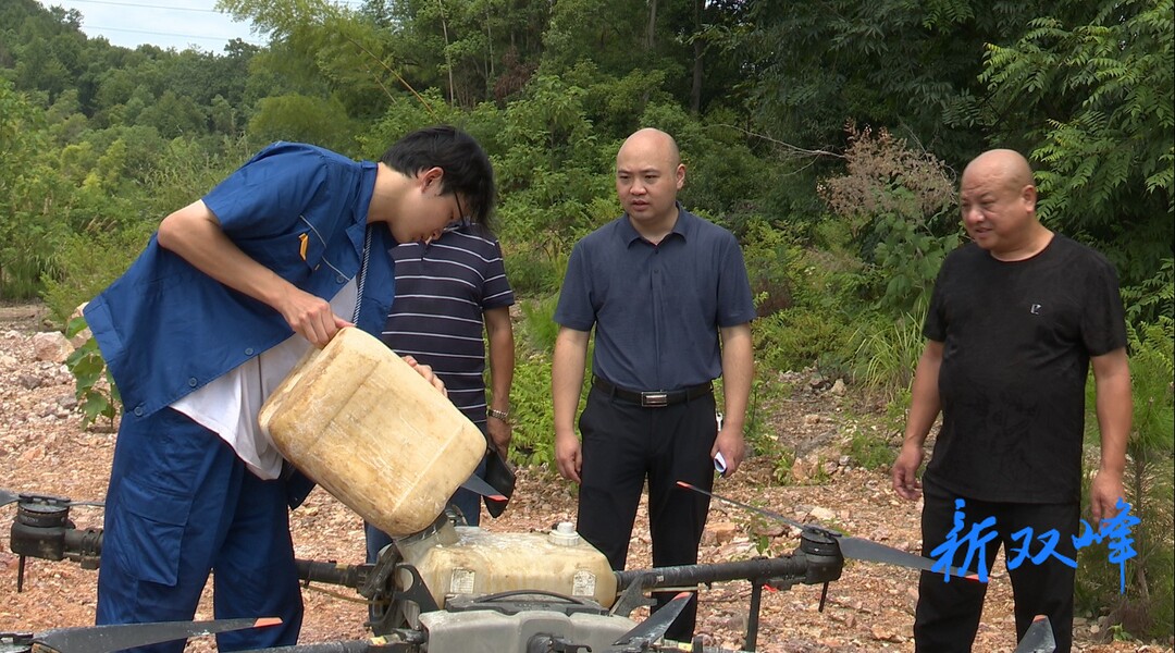 双峰：无人机助力防治“松褐天牛”