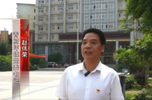【书记抓党建】青树坪镇：党建领航风帆正 凝心聚力谱新篇