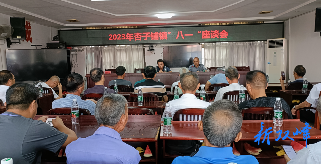 杏子铺镇开展庆祝“八一”建军节老兵座谈会