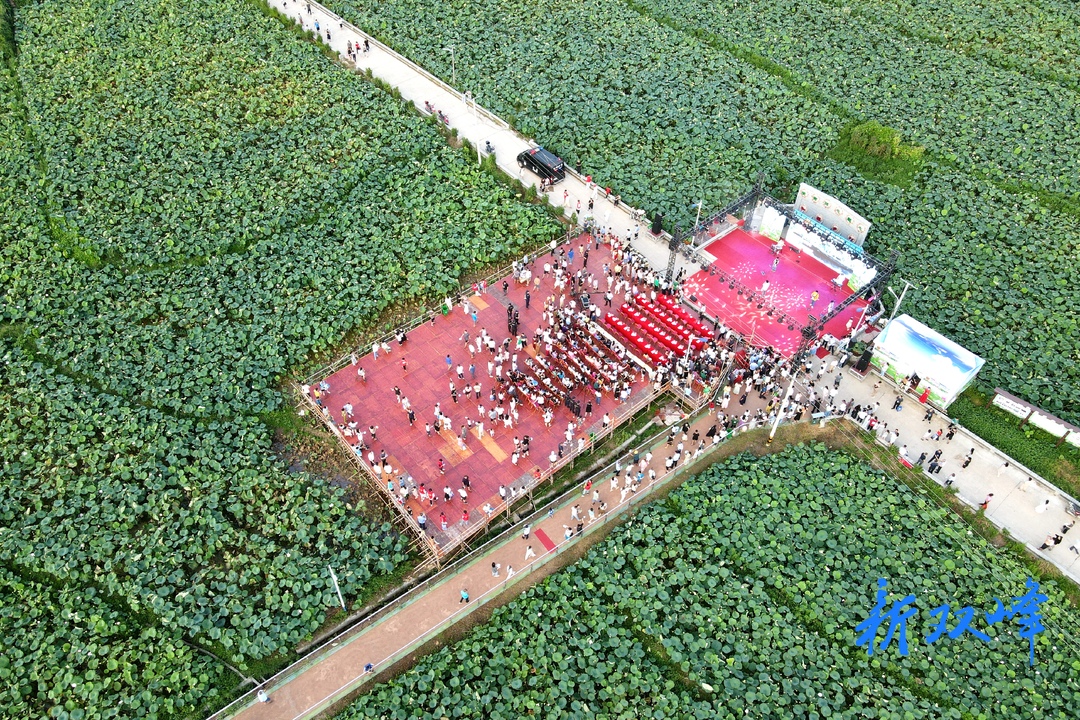 2023双峰县锁石“花之缘”荷花节开幕