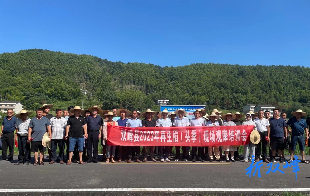 双峰县举行2023年再生稻（头季）现场观摩培训
