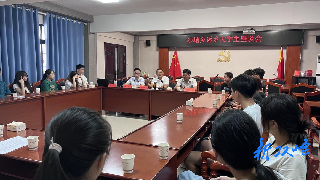 沙塘乡召开“和美少年行”返乡大学生座谈会