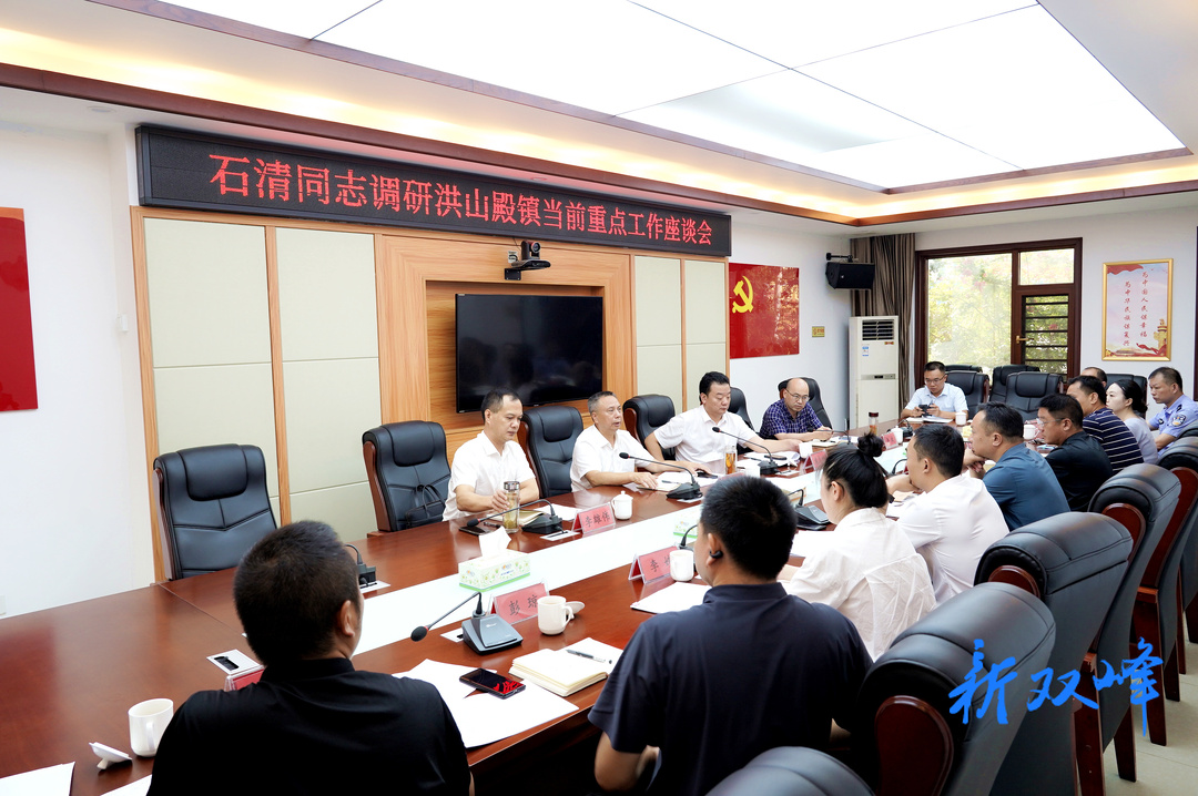 【走基层 找问题 想办法 促发展】彭石清到洪山殿镇调研当前重点工作