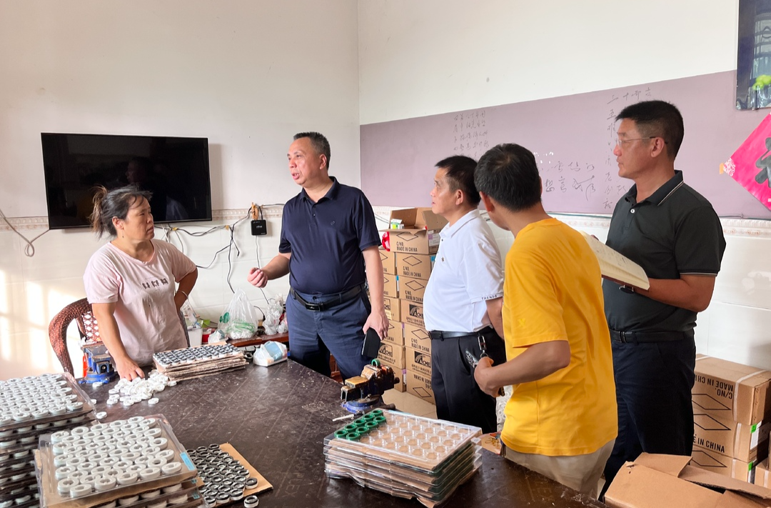【走基层 找问题 想办法 促发展】彭石清到锁石镇双牌村调研乡村振兴工作
