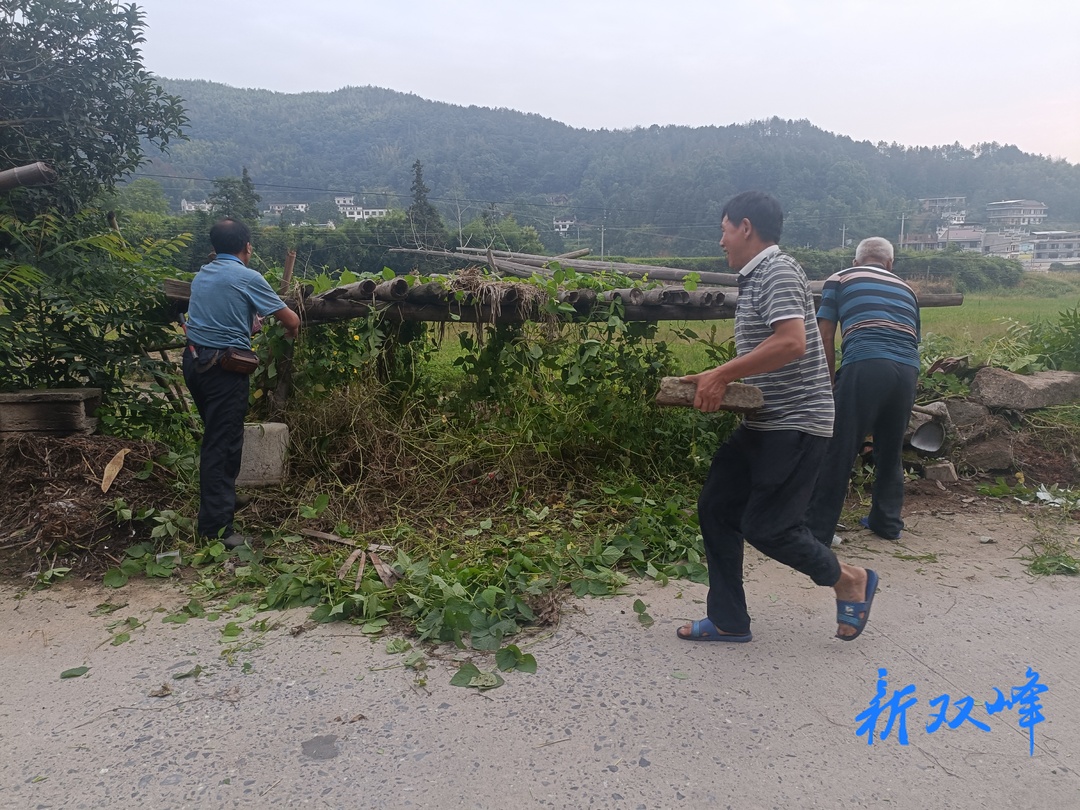 荷叶镇天坪村党员干部带头建设和美新天坪