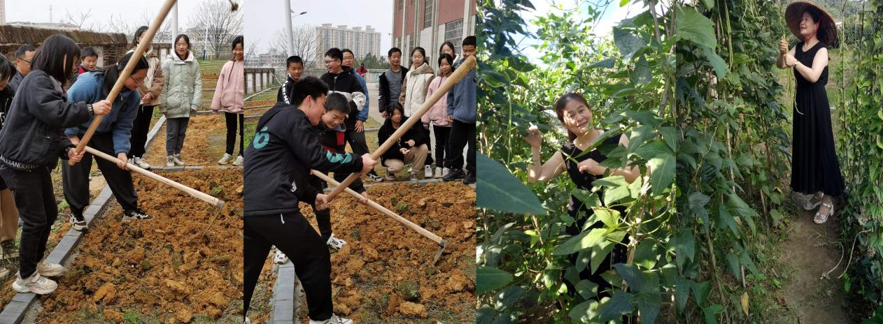 三尺讲台育桃李，一支粉笔写春秋——双峰县青树坪中学教师李伟才侧记