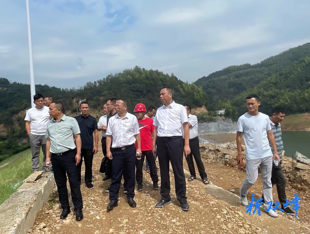 彭石清到永丰街道开展巡河巡林工作