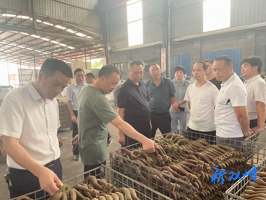 彭石清到园区外就地整改提升类铸造企业开展调研
