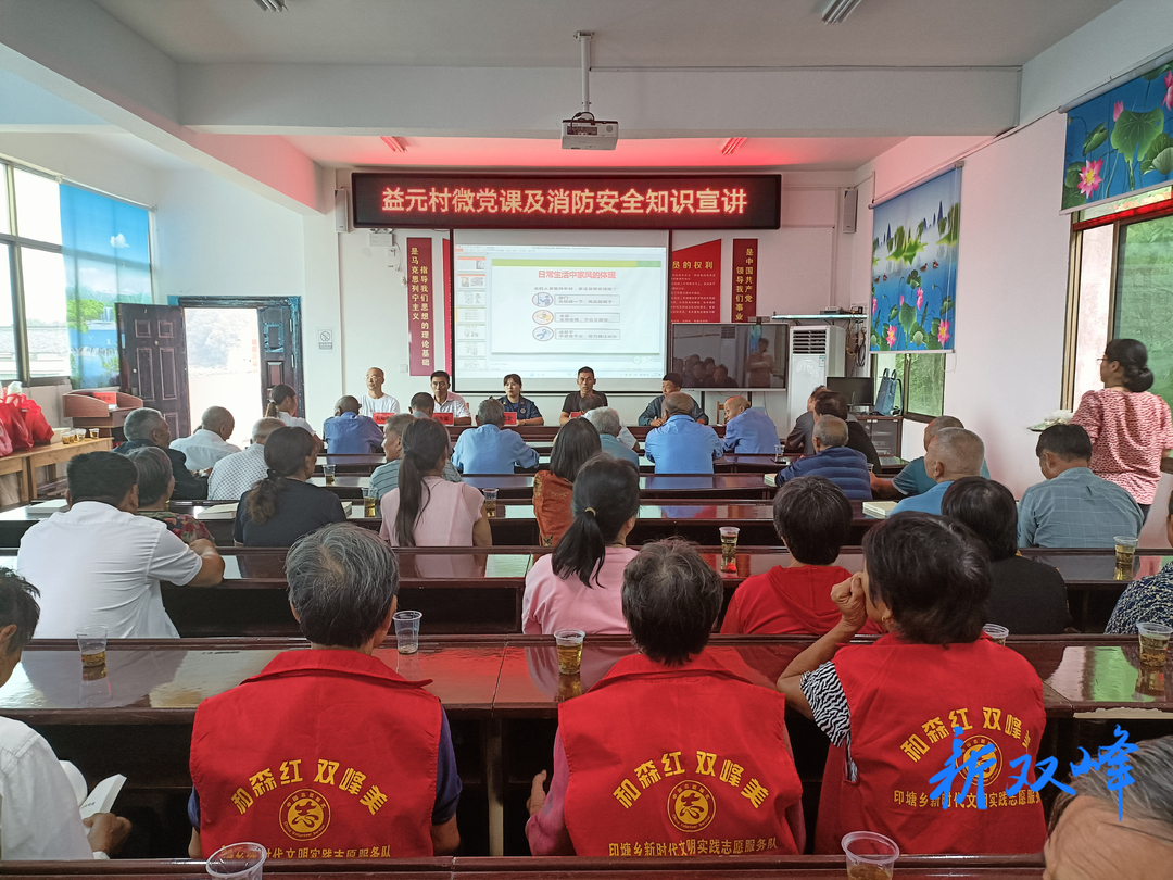 印塘乡益元村举办微党课及消防安全知识宣讲会