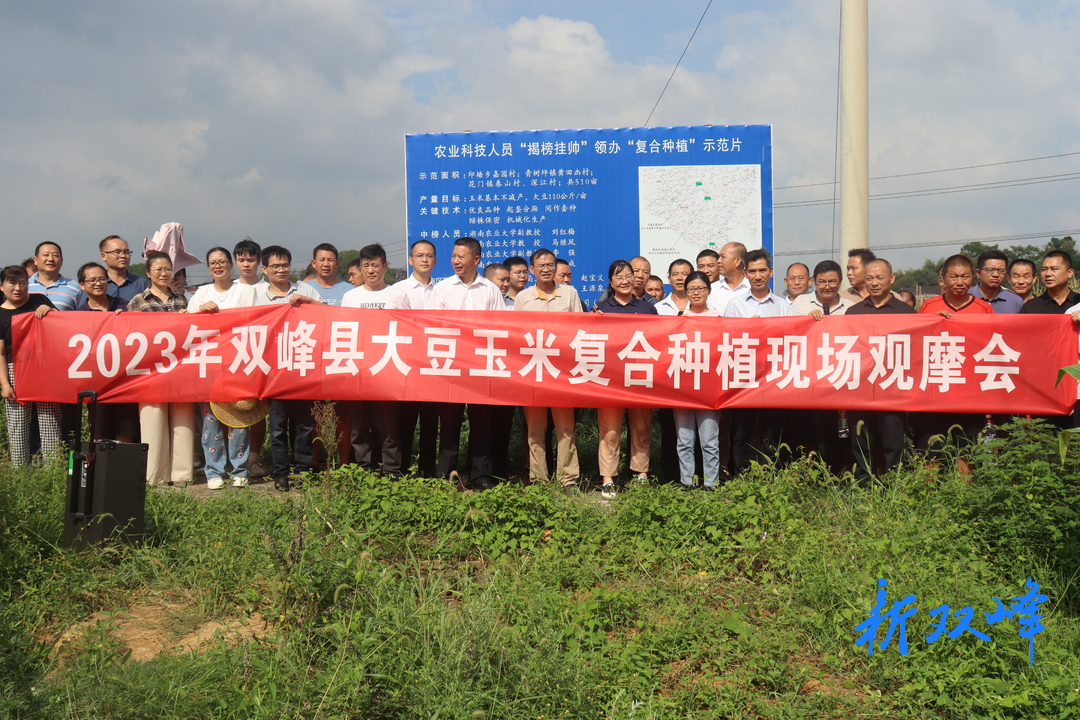 雙峰縣舉辦2023年大豆玉米復合種植現場觀摩會