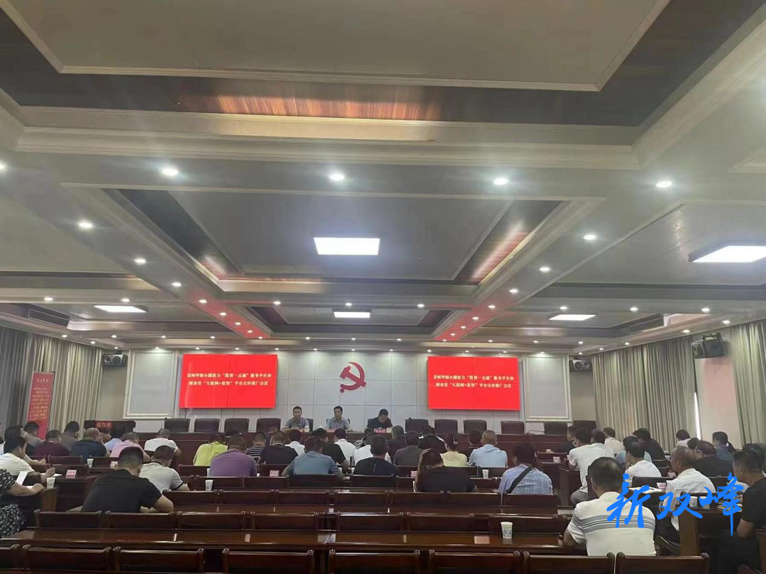 青树坪镇大力推动“三湘e监督”与小微权力“监督一点通”服务平台宣传推广工作