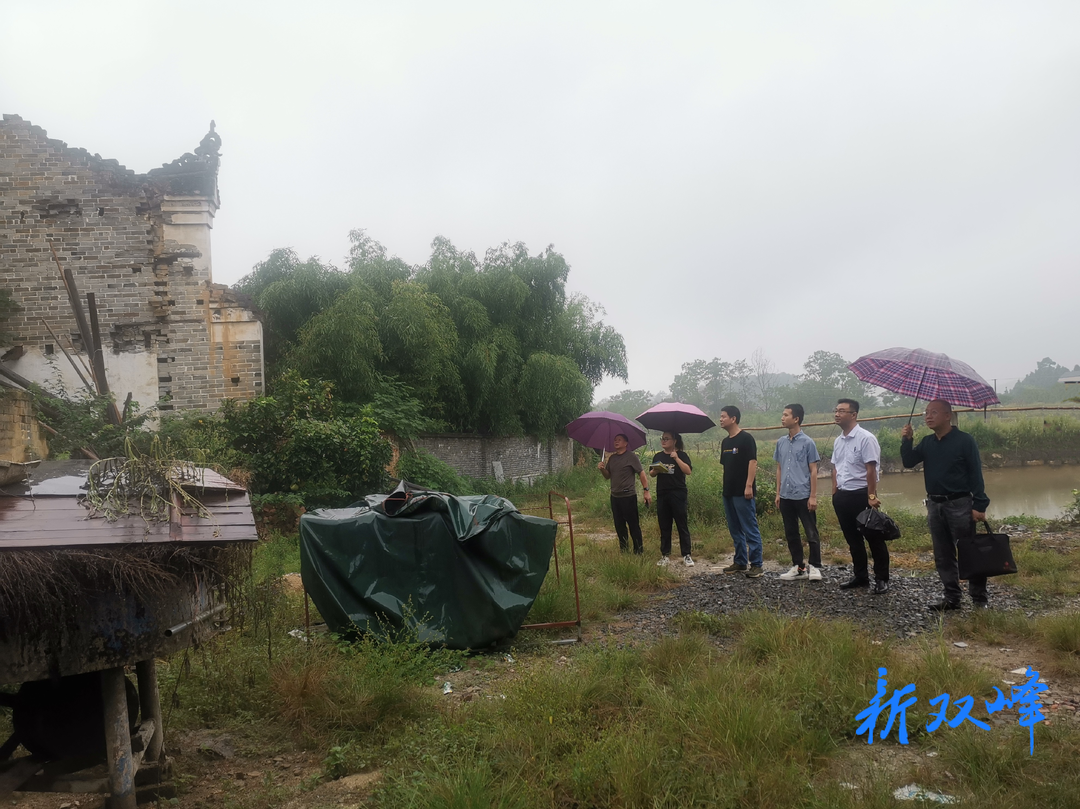 双峰县文旅广体局到永丰街道开展文物保护检查工作