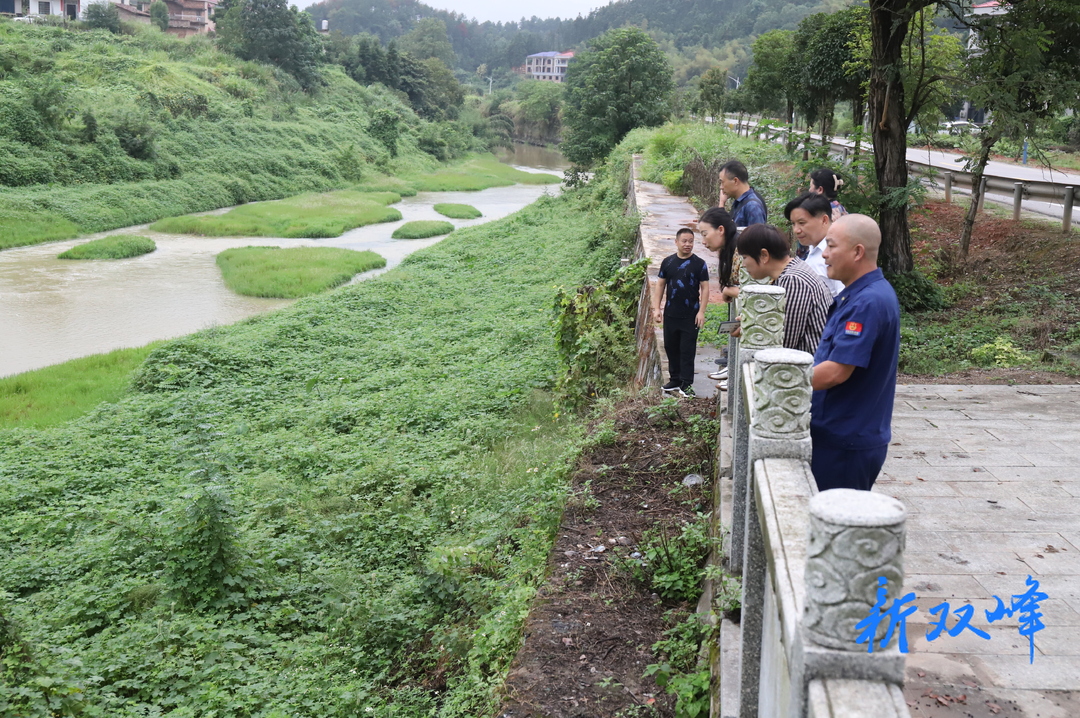 荷叶镇：政协委员工作室持续开展“改善生态环境”专项民主监督活动