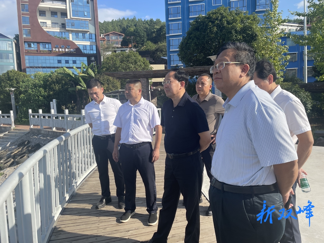 省林业局党组成员、副局长李蔚来双峰调研林长制工作