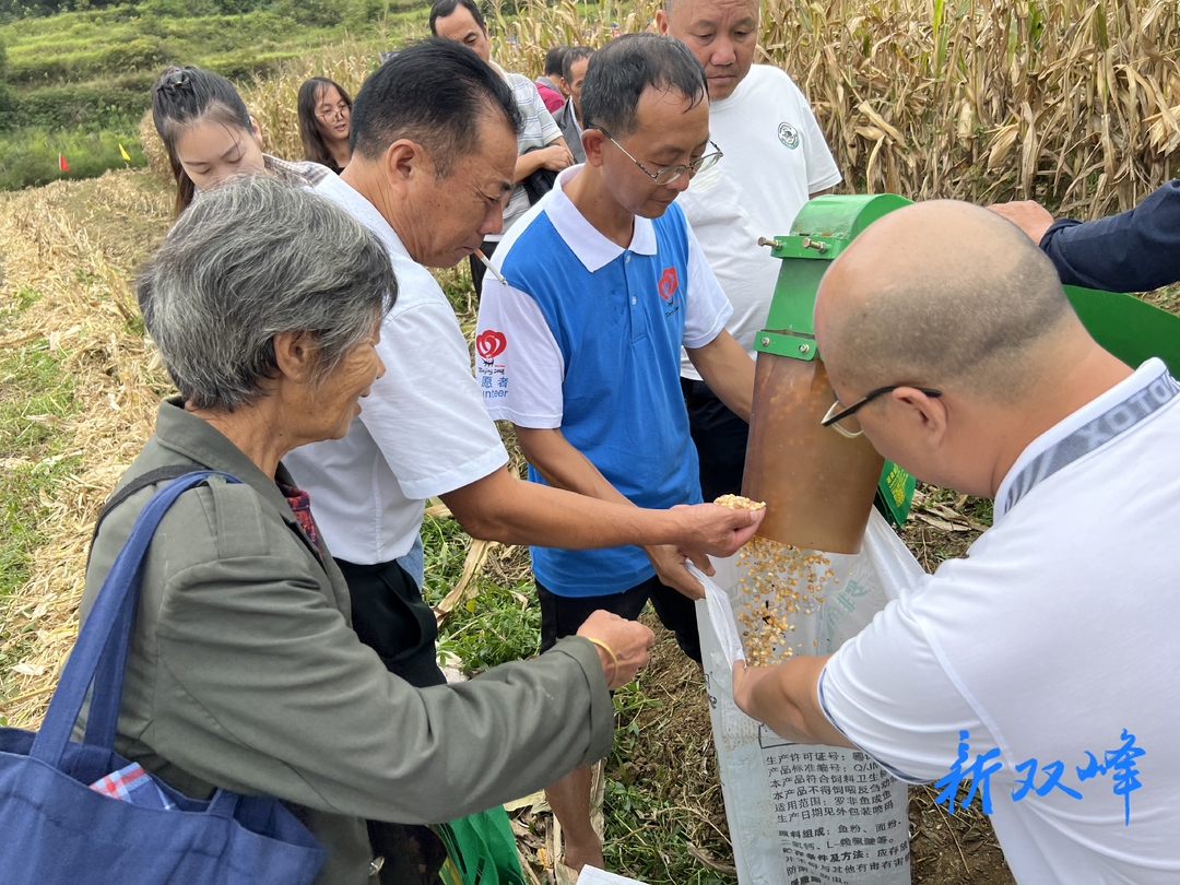 双峰县举办2023年大豆玉米带状复合种植全程机械化生产现场演示观摩会