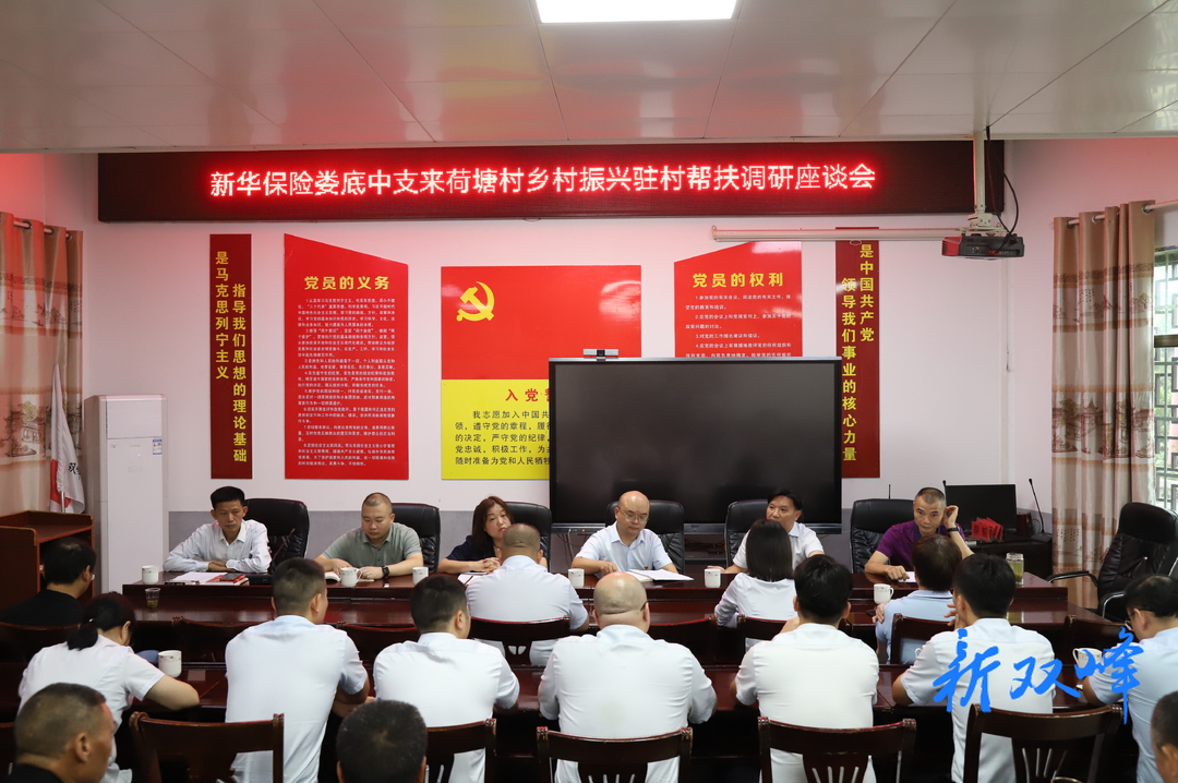 新华保险娄底中支到荷叶镇荷塘村开展乡村振兴走访调研活动