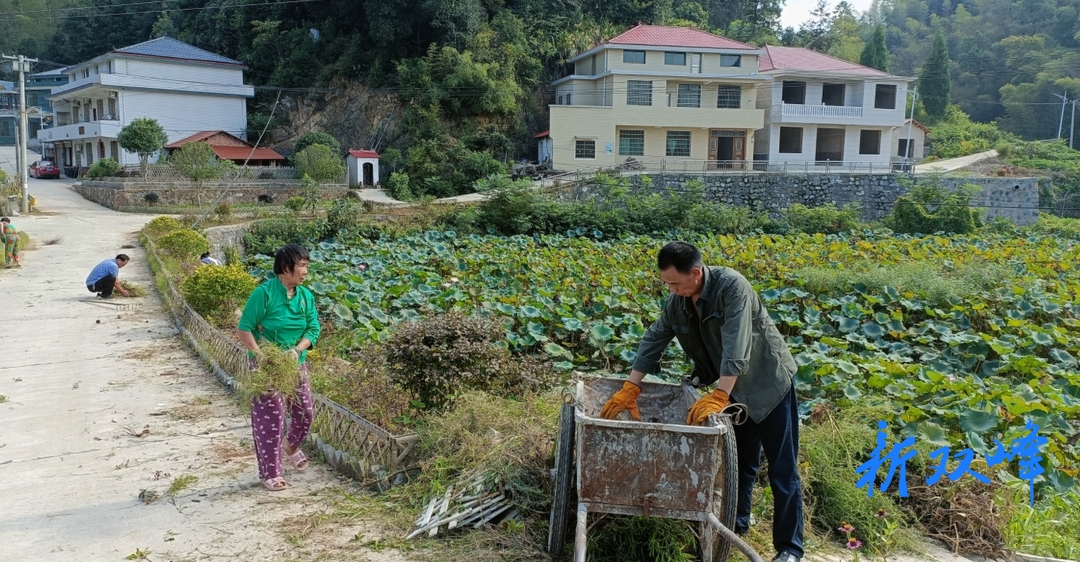 杏子铺镇：提升人居环境整治 推进美丽乡村建设