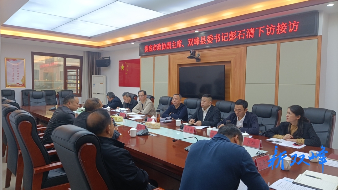 【走基层 找问题 想办法 促发展】彭石清到洪山殿镇接待来访群众