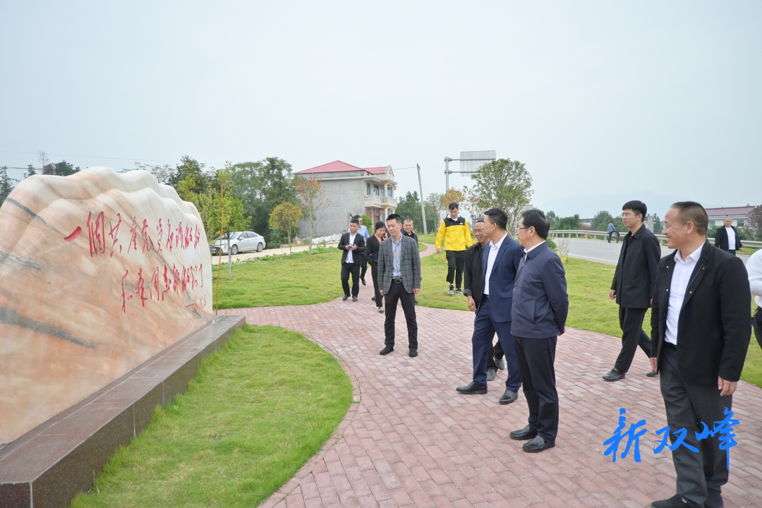 胡忠威到井字镇调研：倾力提升群众幸福指数