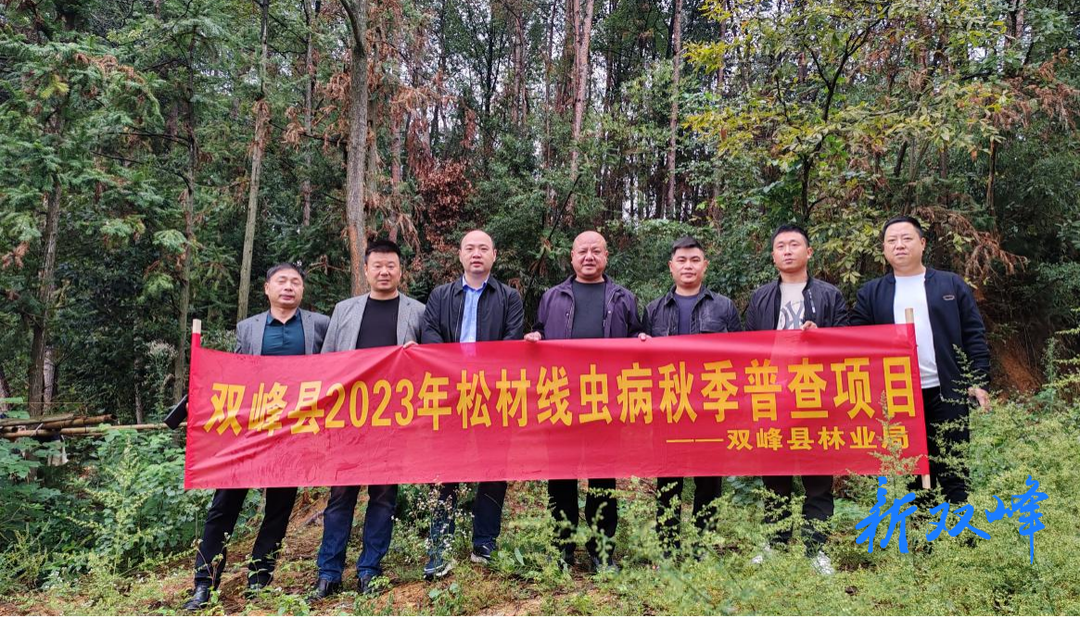 双峰县开展2023年度松材线虫病秋季普查工作