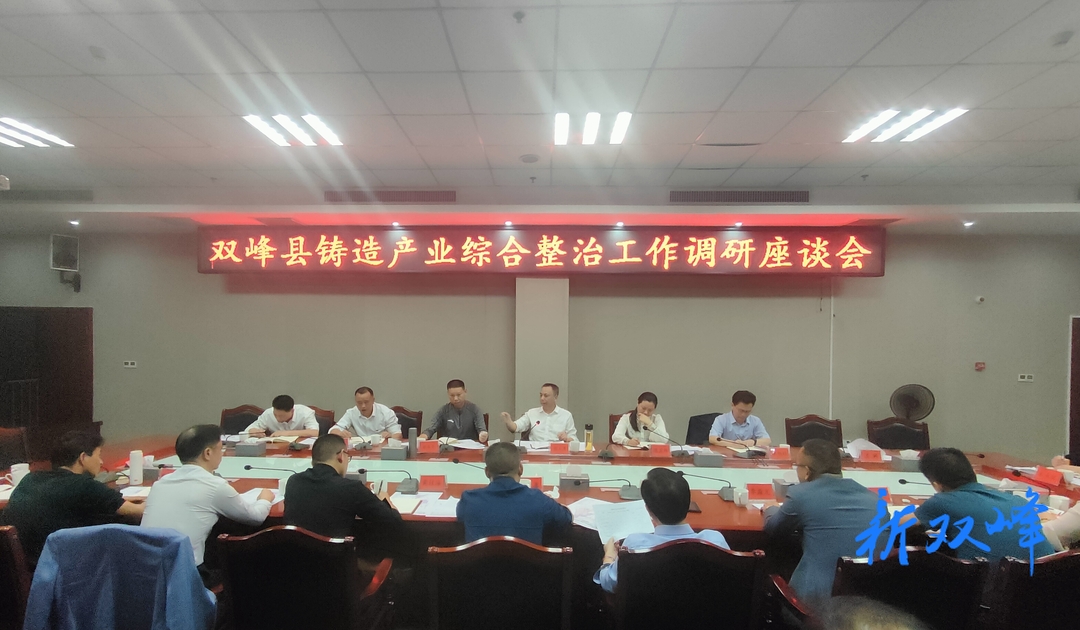 彭石清到双峰高新区和甘棠镇、三塘铺镇等地调研铸造企业综合整治工作