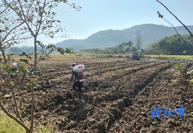 杏子铺镇：农旅融合田作景 闲田秋种促增收