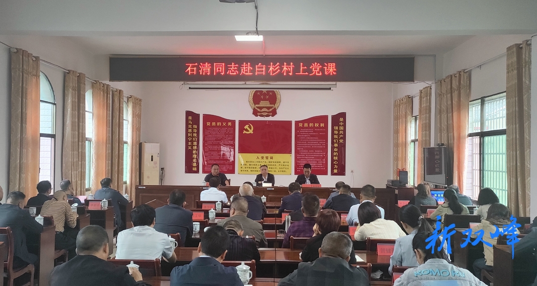 彭石清到永丰街道白杉村讲党课：扎实开展主题教育 务实推进乡村振兴