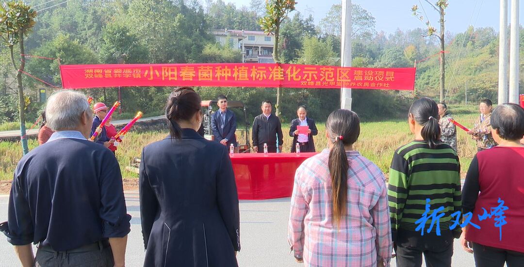 井字镇杨球村小阳春菌种植标准化示范区建设项目启动
