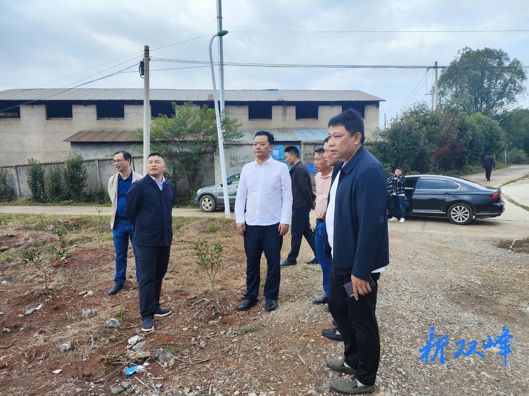 戴志雄到走马街镇白杨村调研乡村振兴和基层治理工作